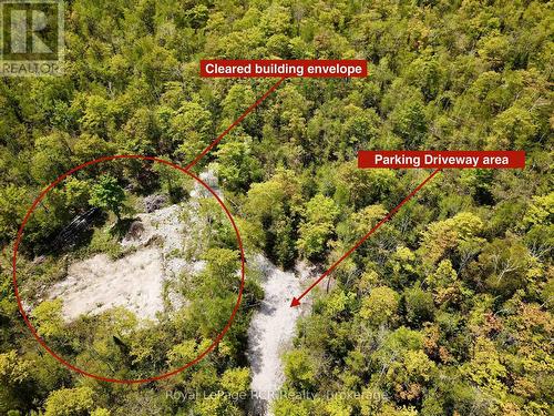 This 22 acre property awaits! - 2248 Bruce Rd 9 Road, Northern Bruce Peninsula, ON 