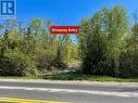 Driveway from well maintained paved road. - 2248 Bruce Rd 9 Road, Northern Bruce Peninsula, ON 
