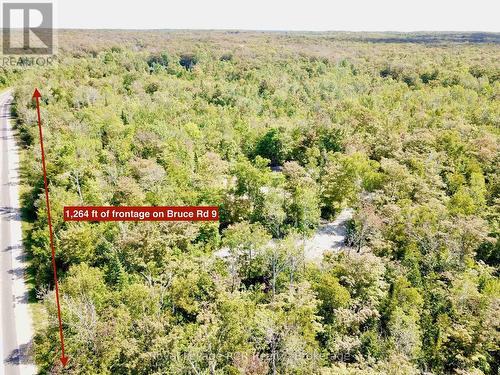 Excellent tree coverage throughout property. - 2248 Bruce Rd 9 Road, Northern Bruce Peninsula, ON 
