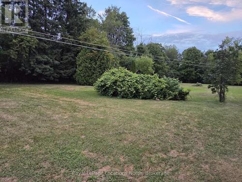 Expansive private back yard for Tenant's enjoyment - 6042 Highway 9 Highway, Caledon (Mono Mills), ON - Outdoor