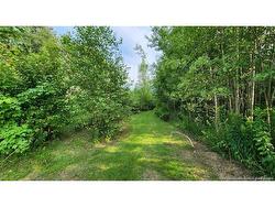 7.6 acres Rue Pinet  Bertrand, NB E1X 1L3