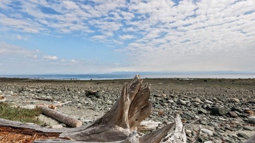 1494 Wilkinson Rd, Comox, BC 