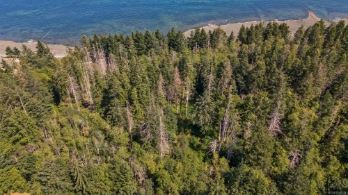 1494 Wilkinson Rd, Comox, BC 