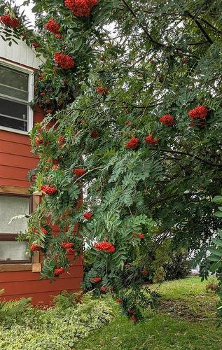 70 Second Avenue, Benito, MB - Outdoor