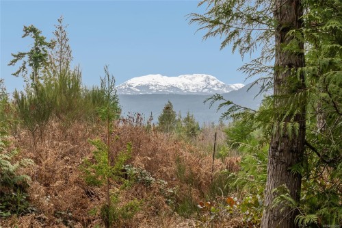 815 Spider Lake Rd, Qualicum Beach, BC 