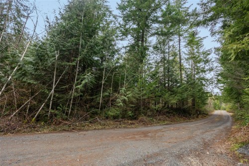 815 Spider Lake Rd, Qualicum Beach, BC 