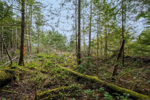 815 Spider Lake Rd, Qualicum Beach, BC 