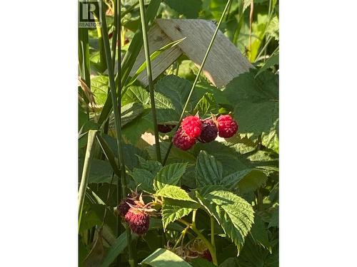 9841 Talbot Road, Salmo, BC 