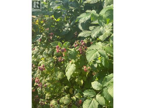 9841 Talbot Road, Salmo, BC 