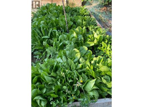 9841 Talbot Road, Salmo, BC 