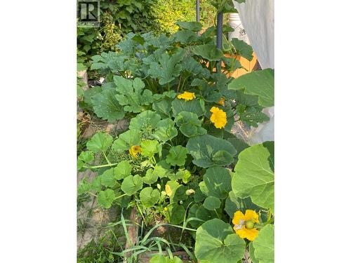 9841 Talbot Road, Salmo, BC 