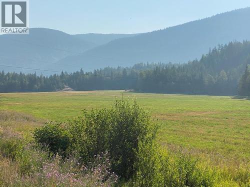 9841 Talbot Road, Salmo, BC 