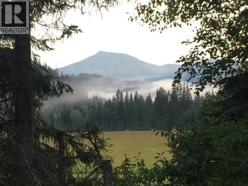 9841 Talbot Road, Salmo, BC 