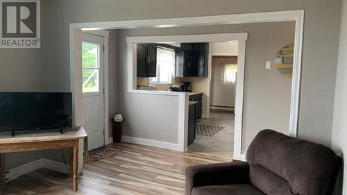 3 Doyles Road, Gull Island, NL - Indoor Photo Showing Living Room
