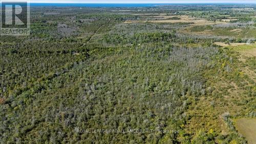 467 Lighthall Road, Prince Edward County (Athol Ward), ON 