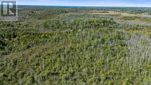 467 Lighthall Road, Prince Edward County (Athol Ward), ON 