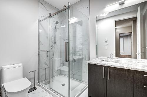 Bathroom - 102-104-3950 Rue Claude-Henri-Grignon, Montréal (Saint-Laurent), QC - Indoor Photo Showing Bathroom