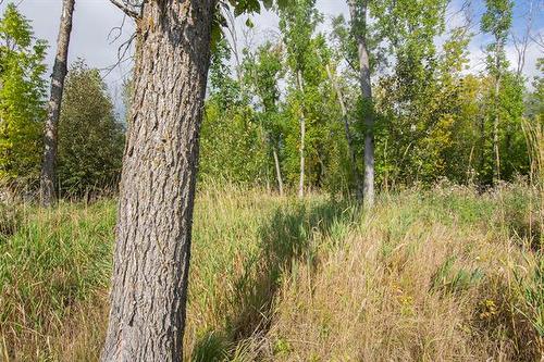 11 Amherst Dr, Pinawa, MB 