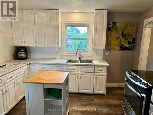 Kitch - 582 9Th Street, Hanover, ON - Indoor Photo Showing Kitchen With Double Sink