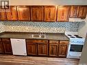 203 423 4Th Avenue N, Saskatoon, SK  - Indoor Photo Showing Kitchen 