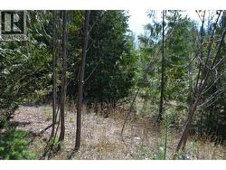 Fraser Road Lot# 59 Anglemont, BC V0E 1M8