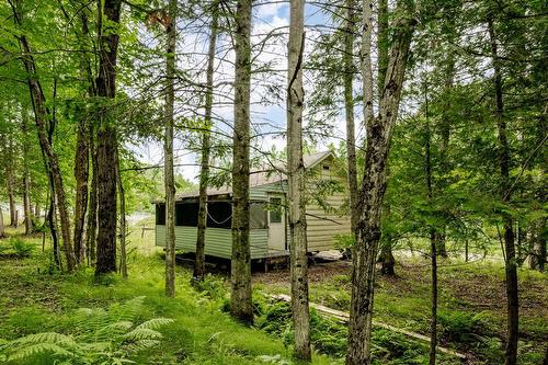 Terre/Terrain - Ch. De Hyatt'S-Mills, Compton, QC 