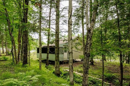 Terre/Terrain - Ch. De Hyatt'S-Mills, Compton, QC 