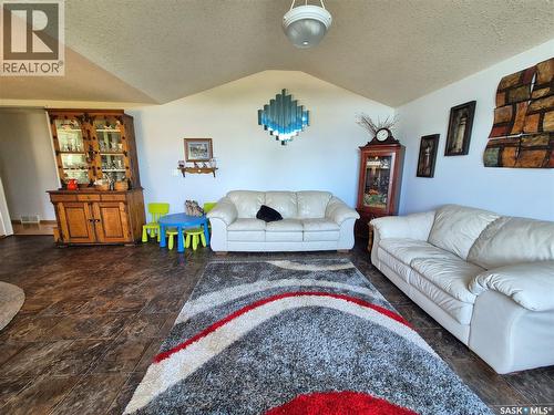 713 Railway Avenue, Midale, SK - Indoor Photo Showing Living Room