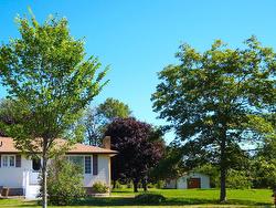 304 Astral Drive  Cole Harbour, NS B2V 1B8