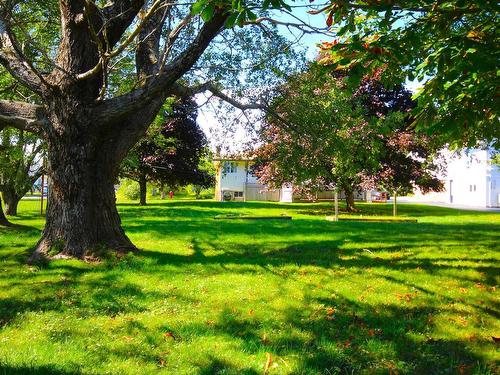 304 Astral Drive, Cole Harbour, NS 