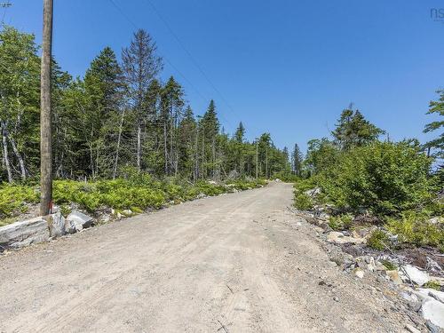 Gl 24 Eagle Road, Gavelton, NS 