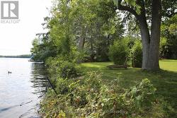 35 NORTH WATER STREET  Kawartha Lakes, ON K0M 1K0