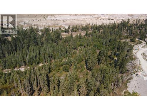 Lot 1 93/95 Highway Lot# 1, Windermere, BC 