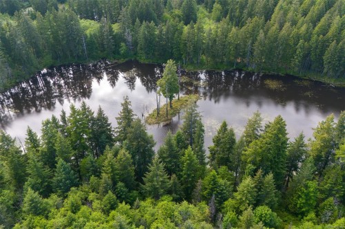 3204 Fernwood Lane, Port Alberni, BC 