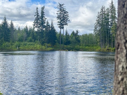 3204 Fernwood Lane, Port Alberni, BC 