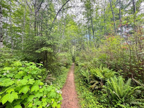 3204 Fernwood Lane, Port Alberni, BC 