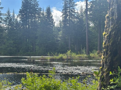 3204 Fernwood Lane, Port Alberni, BC 