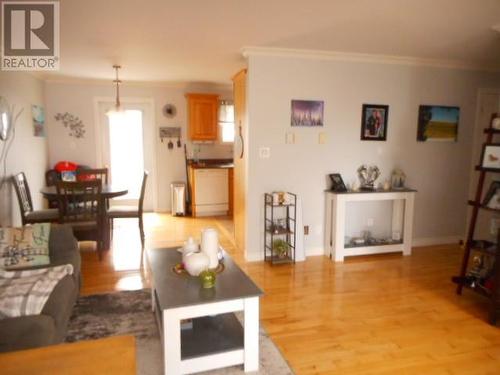 62 Bayview Road, Springdale, NL - Indoor Photo Showing Living Room