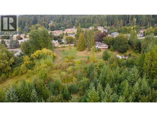 1121 Shuswap Street Sw, Salmon Arm, BC - Outdoor With View