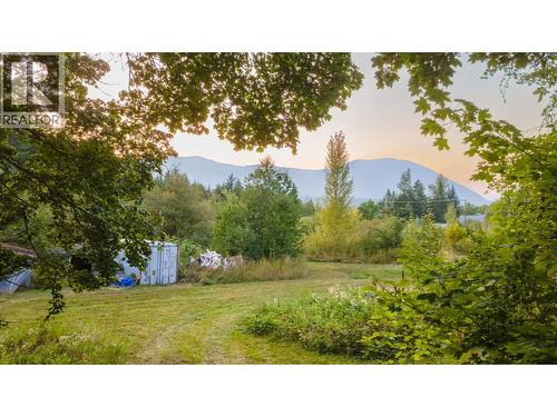 1121 Shuswap Street Sw, Salmon Arm, BC - Outdoor With View