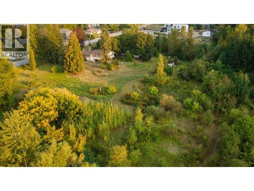 1121 Shuswap Street Sw, Salmon Arm, BC - Outdoor With View