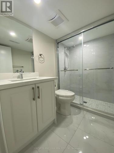 Lower - 54 Shilton Road, Toronto, ON - Indoor Photo Showing Bathroom