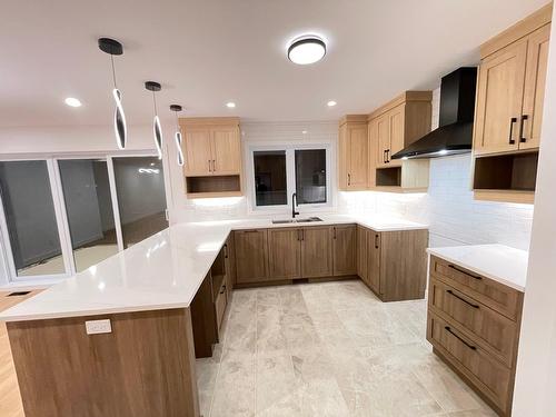 Cuisine - 6535 Rue Poitou, Brossard, QC - Indoor Photo Showing Kitchen With Double Sink
