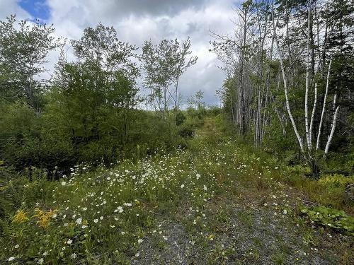 313 Mark Road, Riverton, NS 