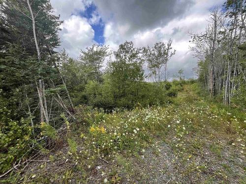 313 Mark Road, Riverton, NS 