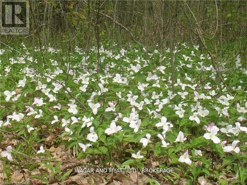 .. Bridge Street W, Greater Napanee (Greater Napanee), ON 