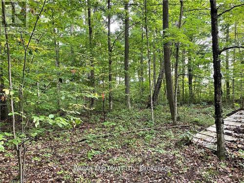 .. Bridge Street W, Greater Napanee (Greater Napanee), ON 