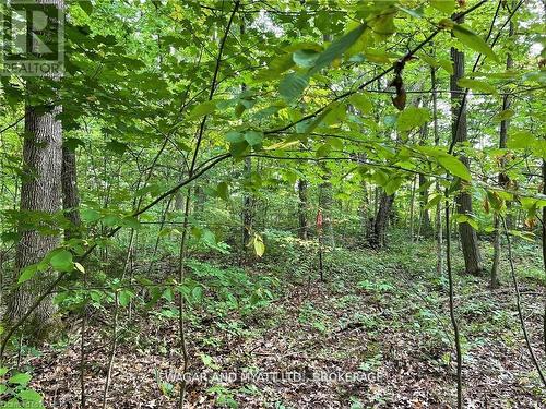 .. Bridge Street W, Greater Napanee (Greater Napanee), ON 