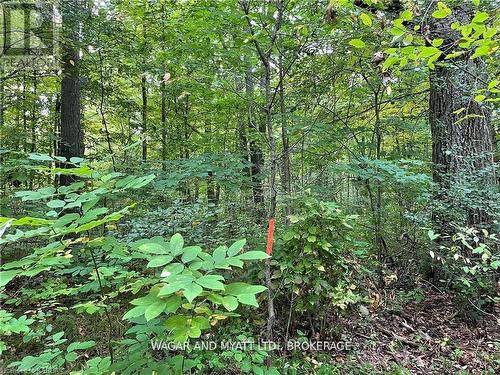 .. Bridge Street W, Greater Napanee (Greater Napanee), ON 