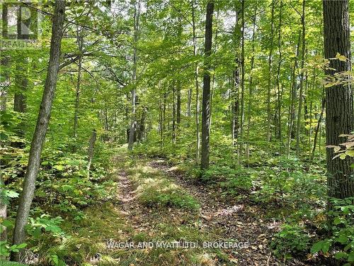 .. Bridge Street W, Greater Napanee (Greater Napanee), ON 